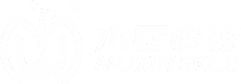 专注企业网站建设与营销服务