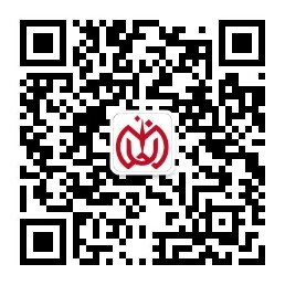 专注企业网站建设与营销服务